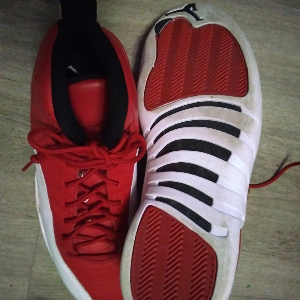 Retro 12 Jordans